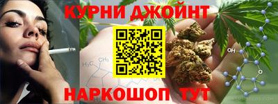 индика Обь