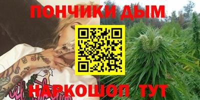 индика Обь