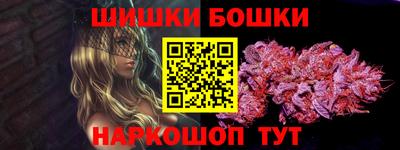 индика Обь