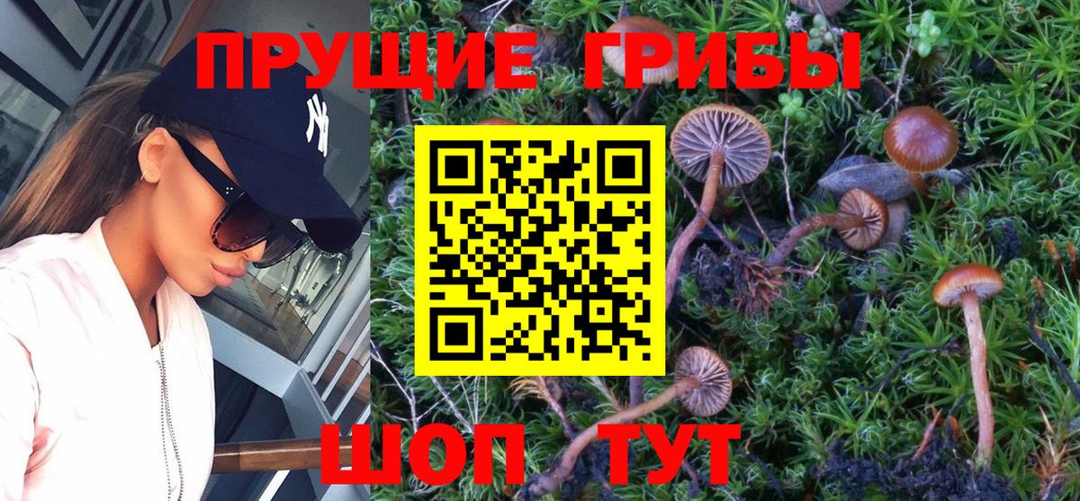 Галлюциногенные грибы MAGIC MUSHROOMS  Вход с VPN  Трёхгорный 